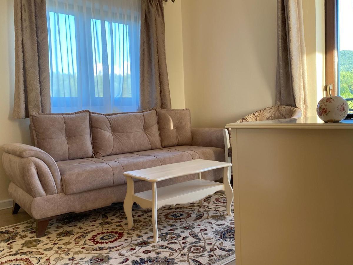 Pensiunea Ivoire Avrig Dış mekan fotoğraf
