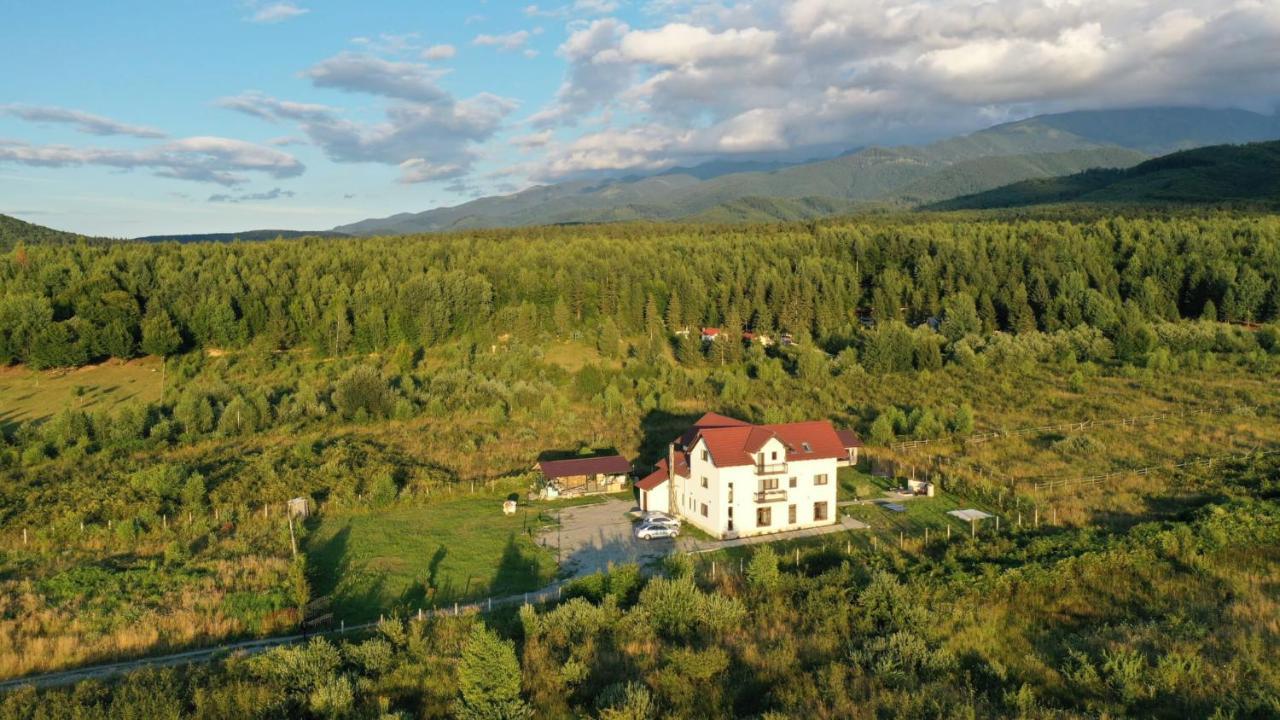 Pensiunea Ivoire Avrig Dış mekan fotoğraf