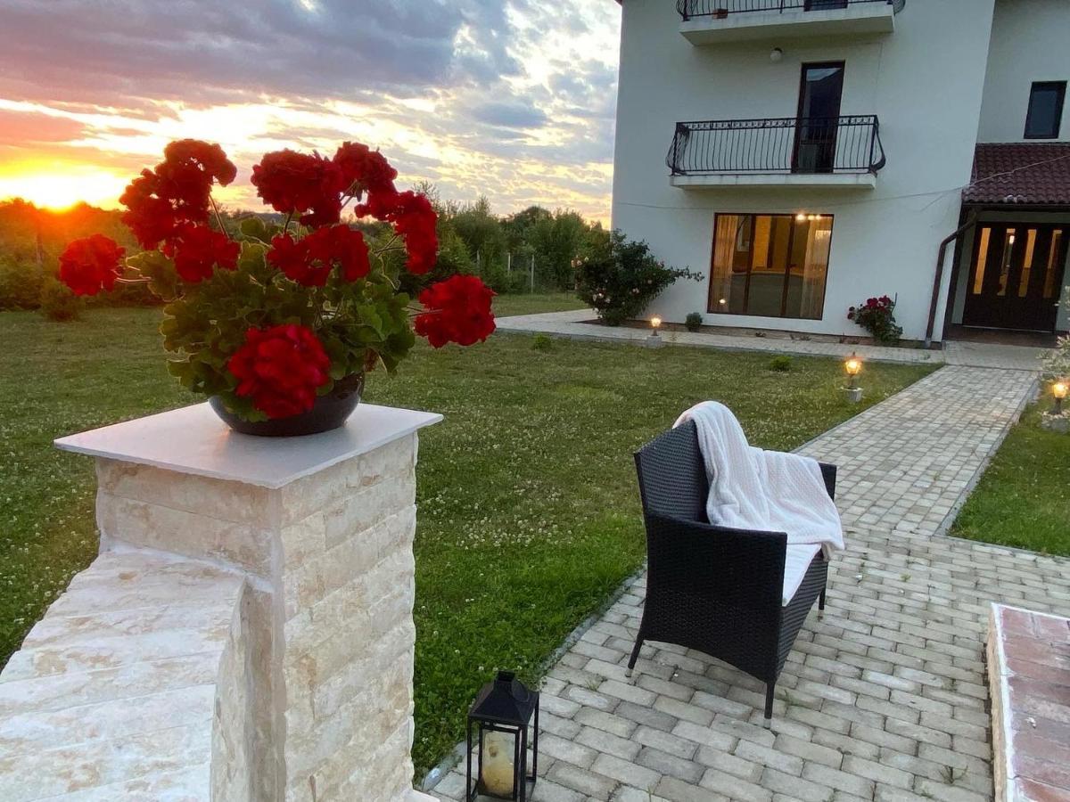 Pensiunea Ivoire Avrig Dış mekan fotoğraf